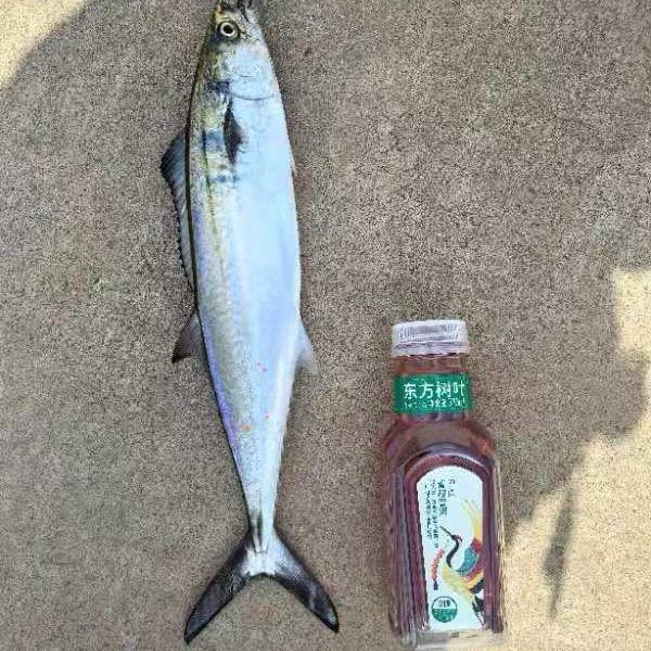 名字太长容易着凉