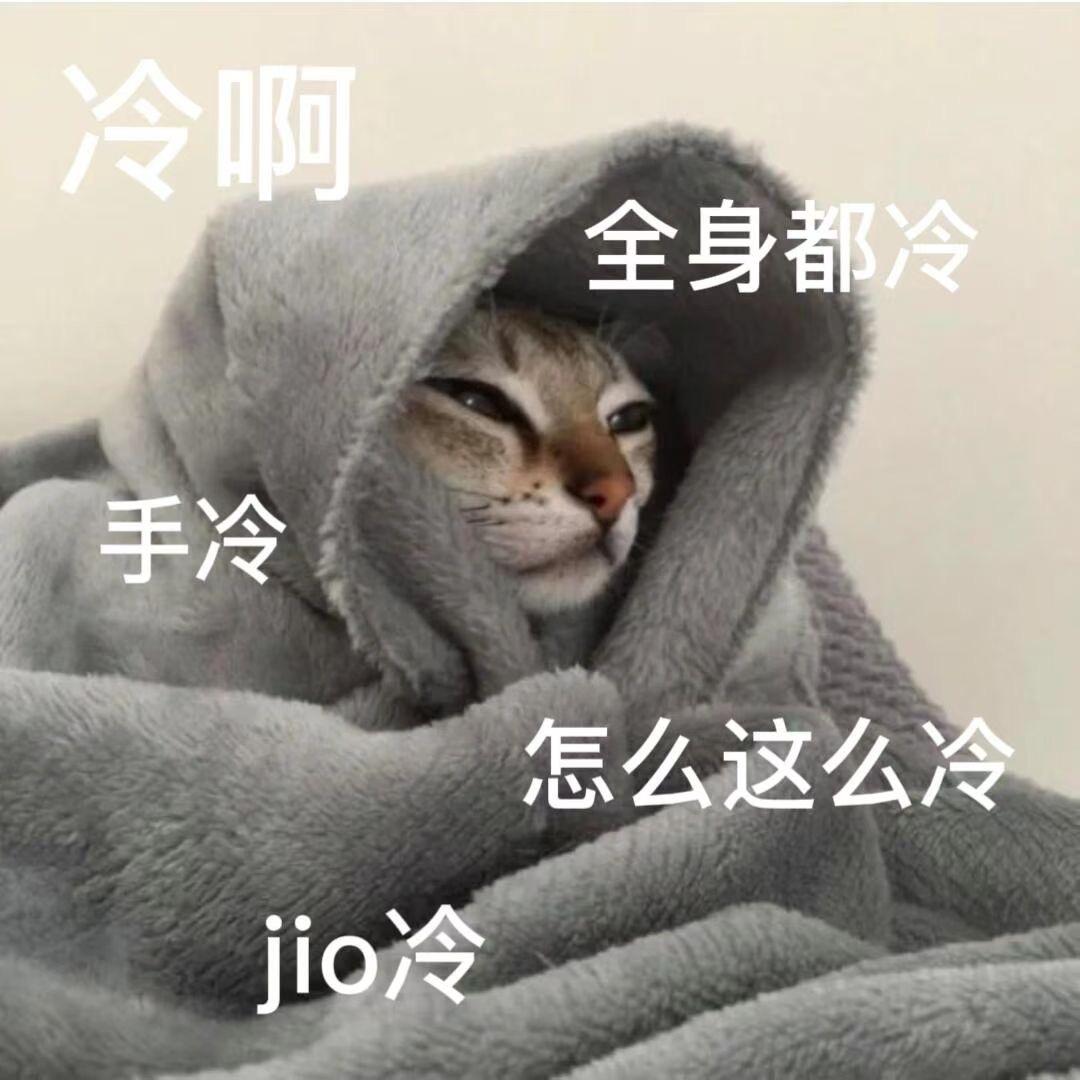 - 猫了个喵
