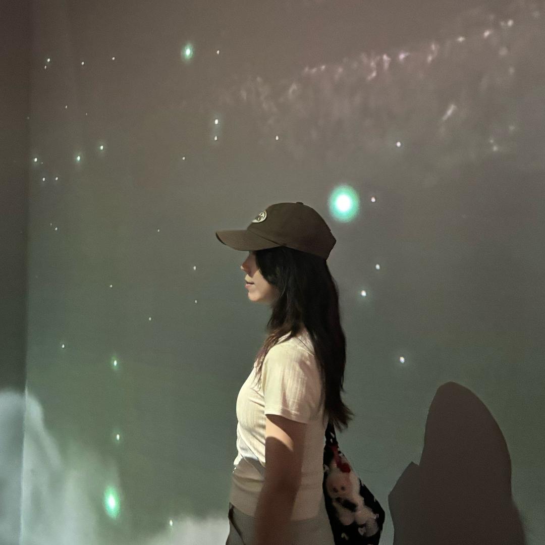羽毛🪶
