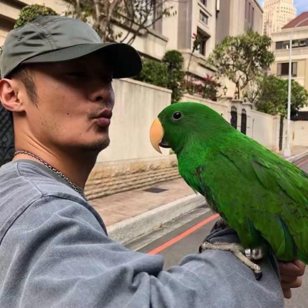曹zi涵