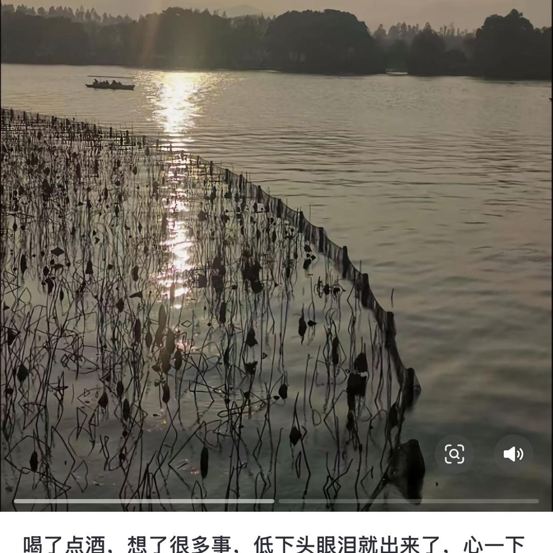 呀呀