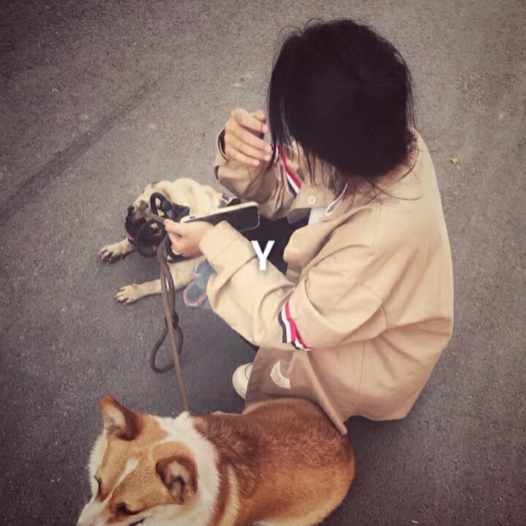 可达鸭.