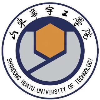 山东华宇工学院