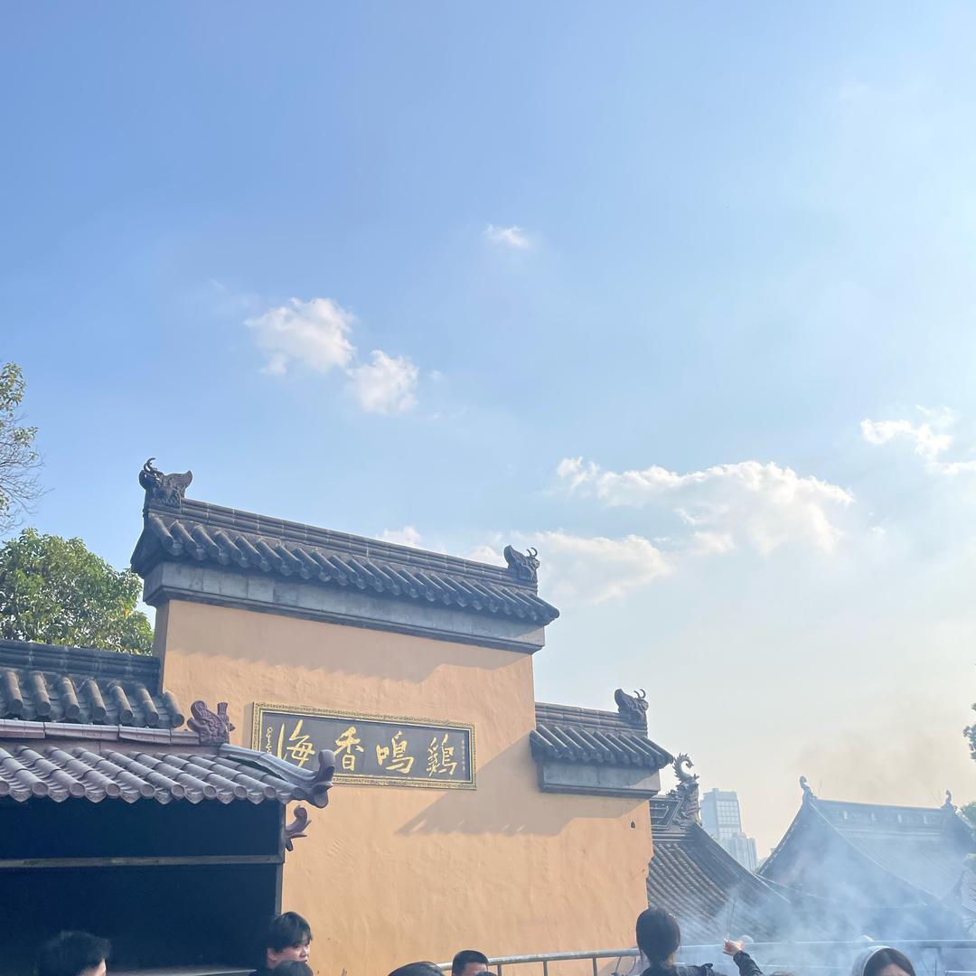 新哥带你学