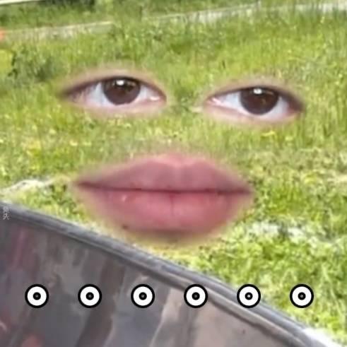 哦莫
