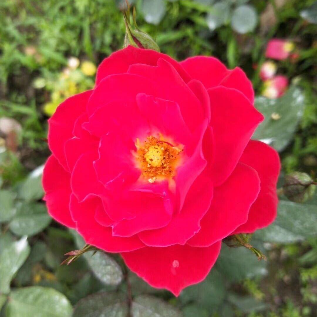 人杰地灵
