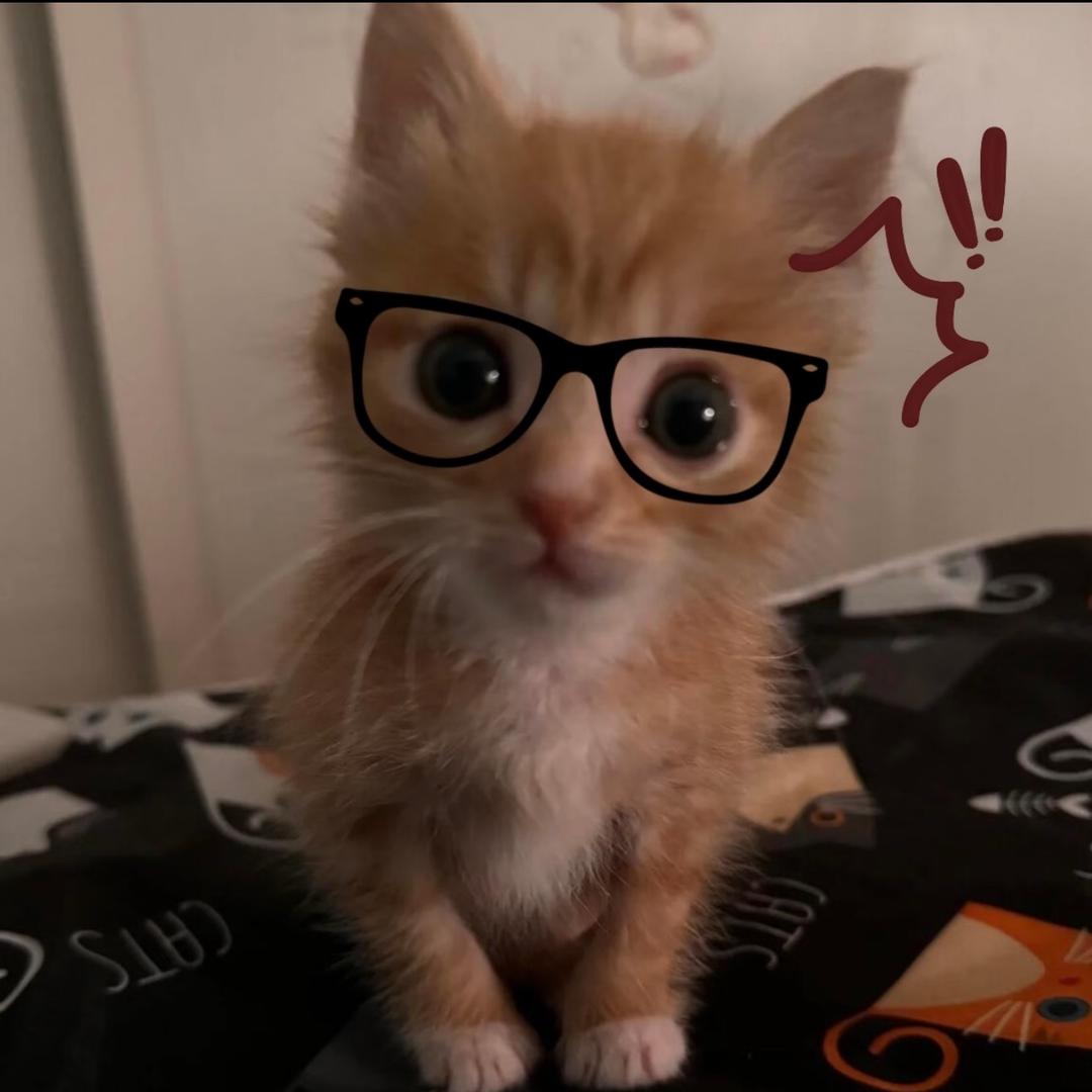 Y