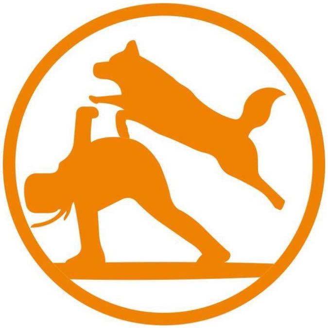训犬师哈王