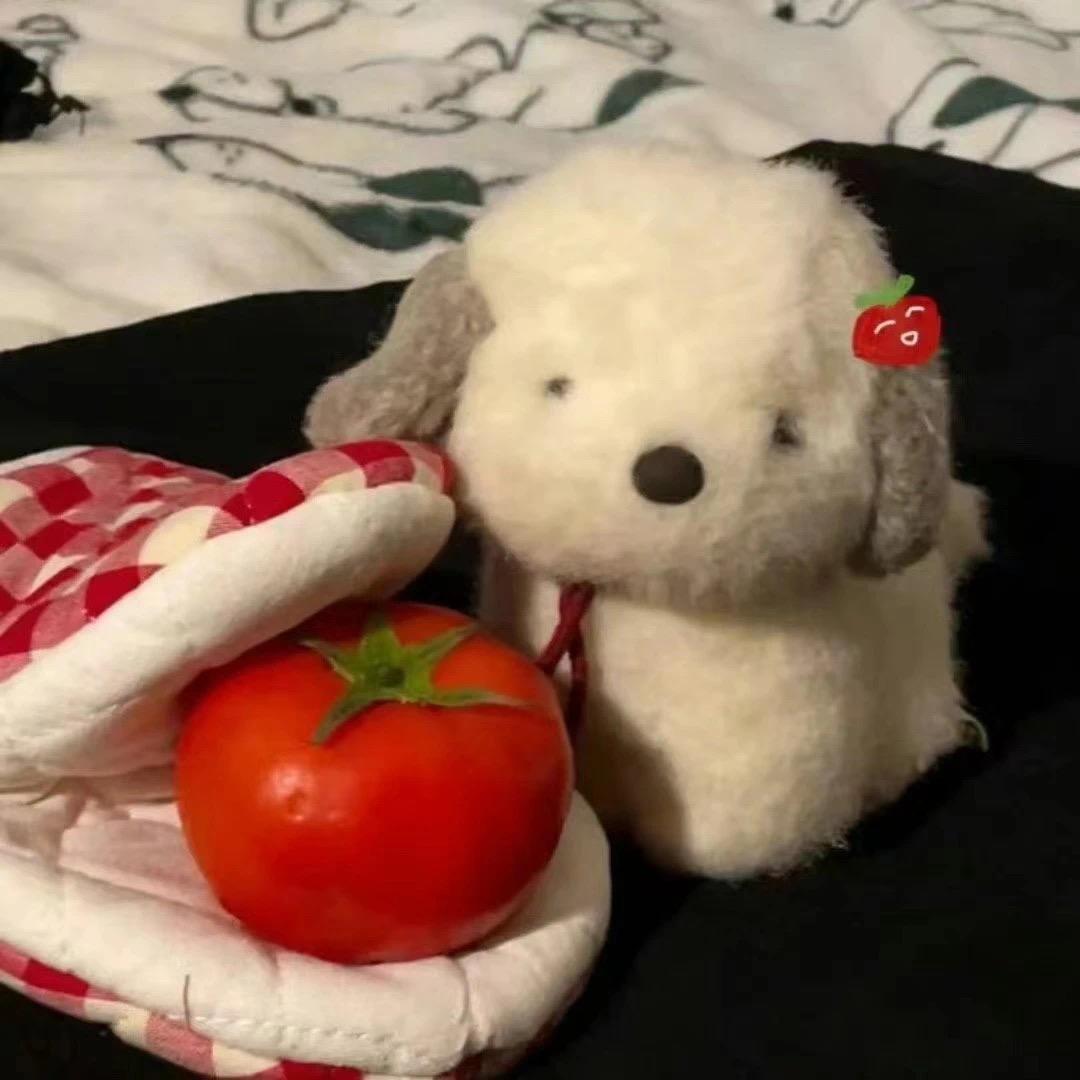 别动我小蛋糕🧁