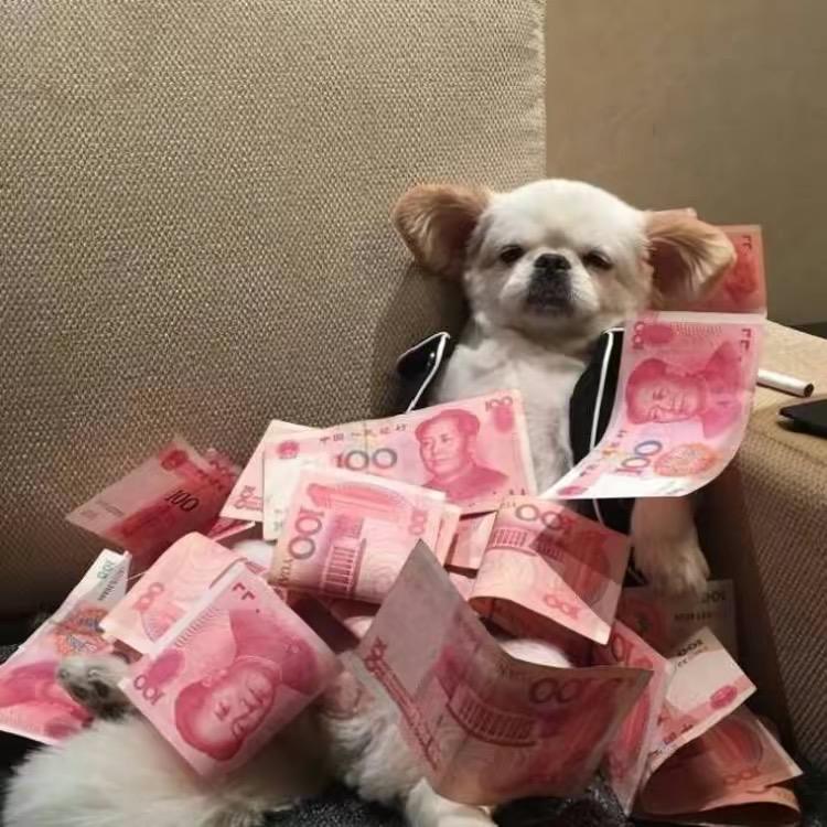 二十对我来说是小钱