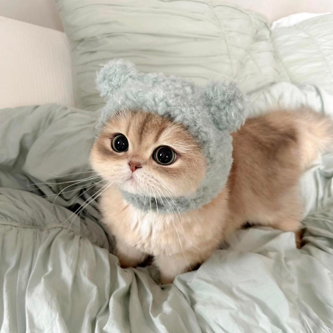 雾ＲＡＲＥ黎 NAIL