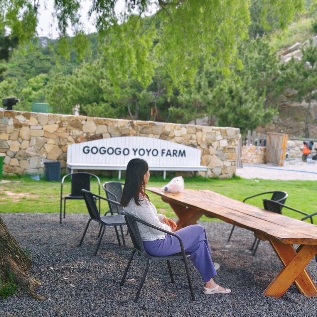 霹雳啪啦美少女