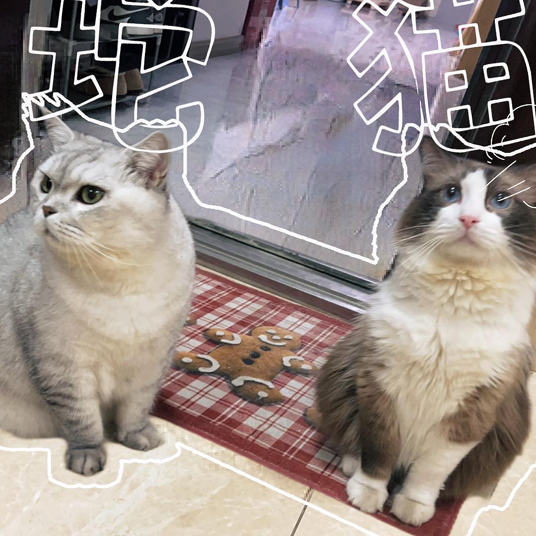 小米豆子@九八五🐱