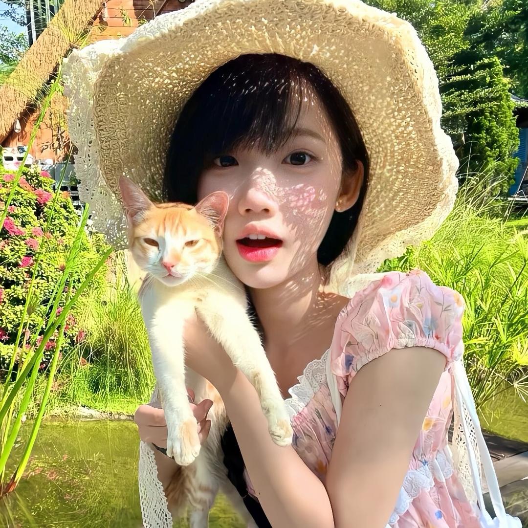 y点小糕冷