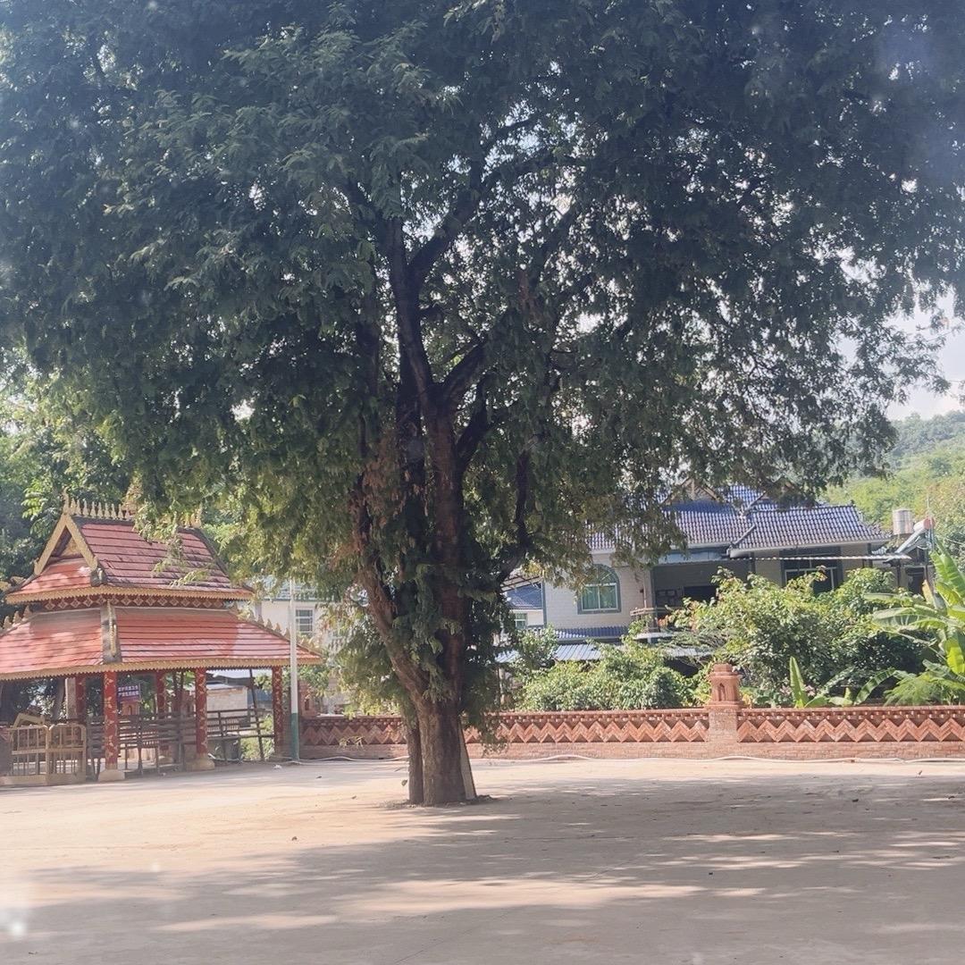 等风来