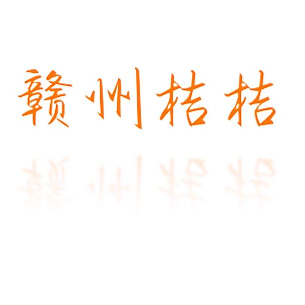 赣州桔桔新能源