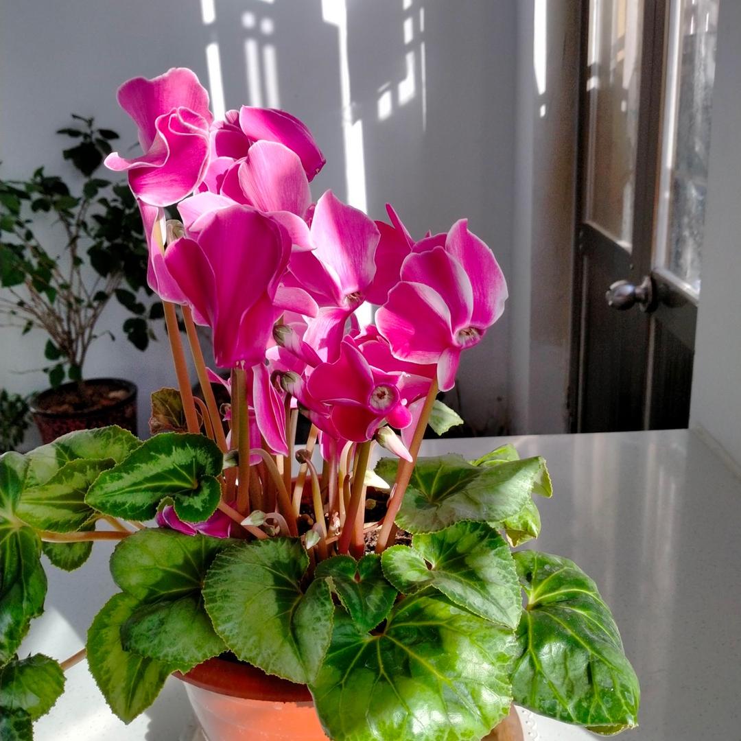 姐就是女王👸自信放光芒