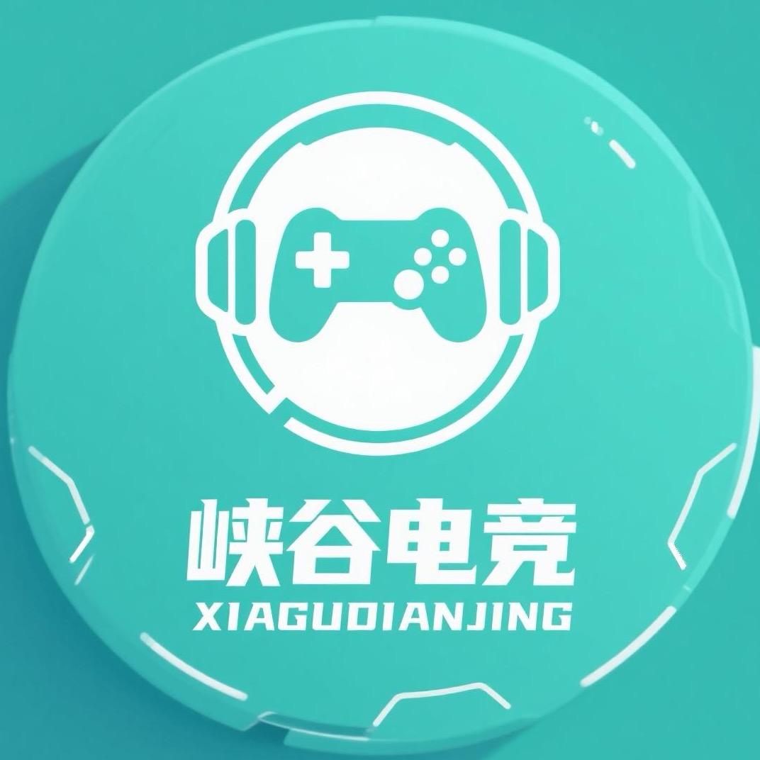 兴海峡谷电竞