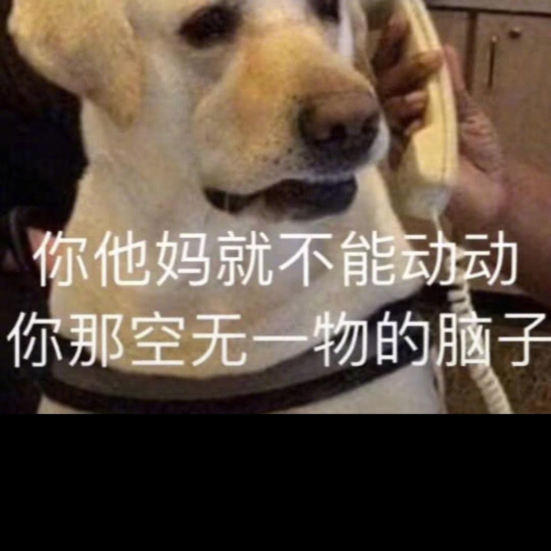 阿芙佳朵