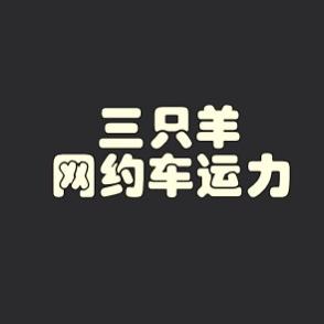 三只羊新能源（深圳区域）