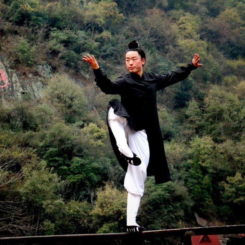 武当云鹤