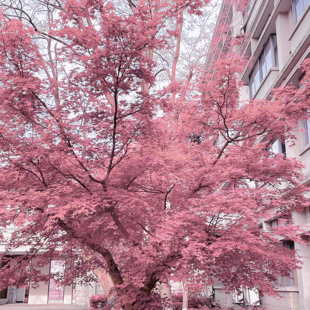 福亮杰饭店(快餐)
