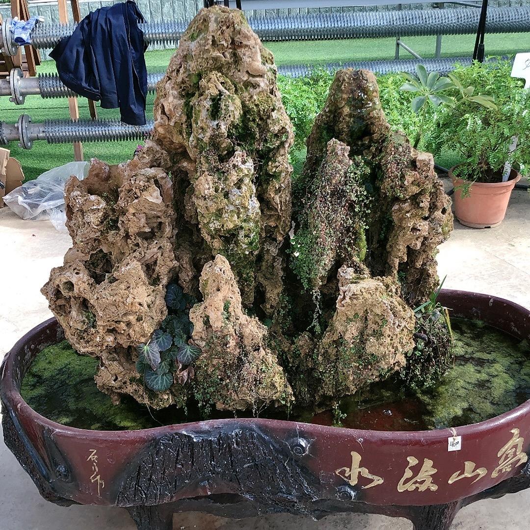 一半烟火一半清欢