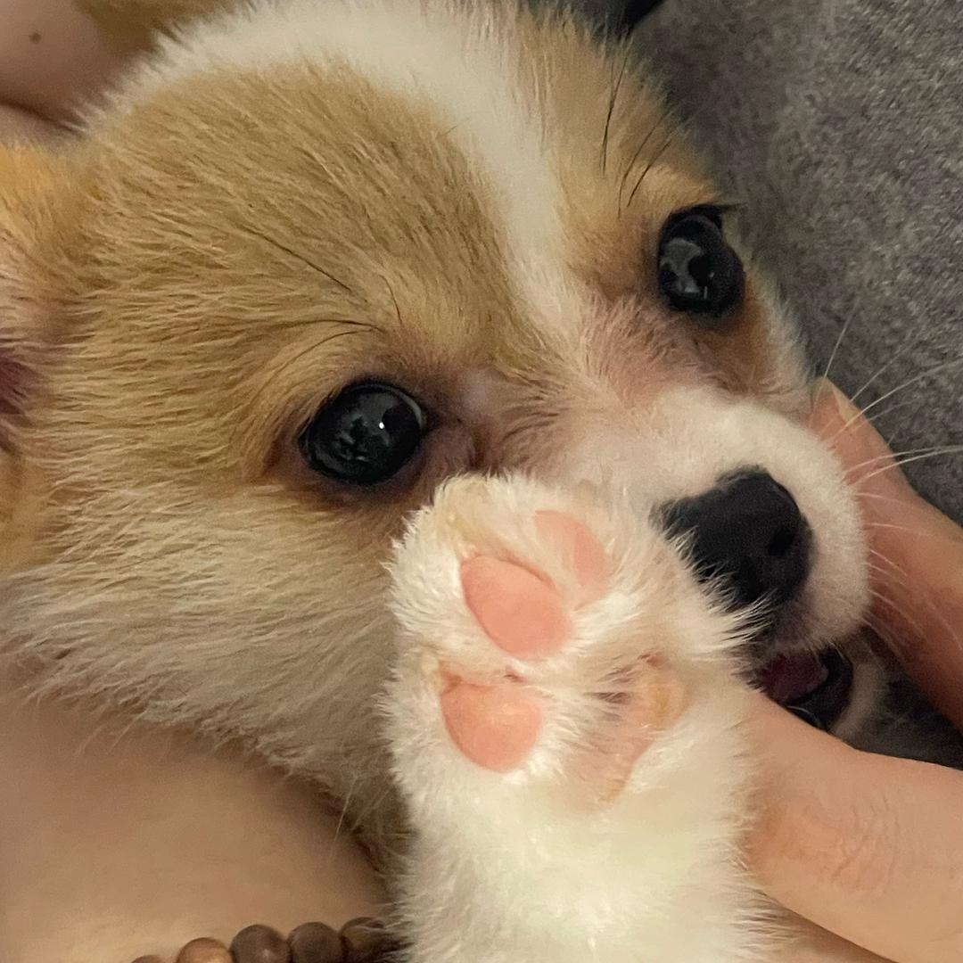 是边边呀