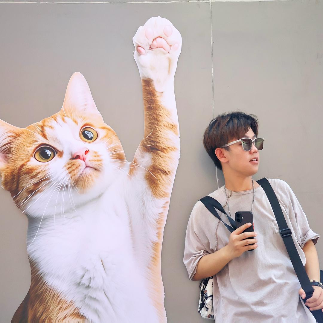 球球睡不醒