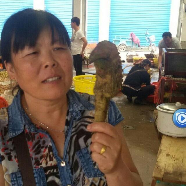 双子鸡头果