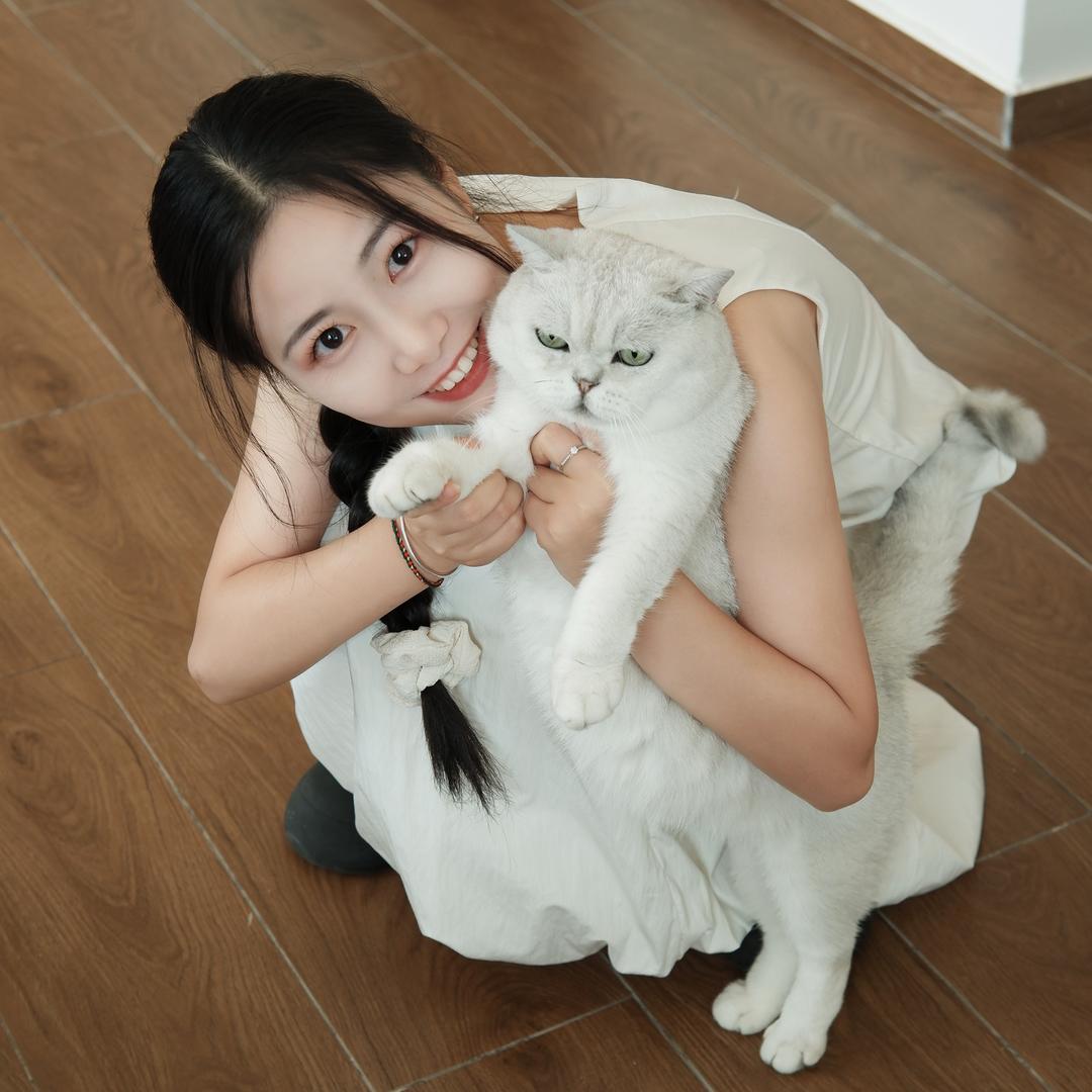 巷往·麻辣冷吃🐈（可邮寄）