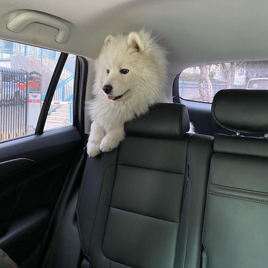 🐒⁰⁹.₂₁尹℘࿐