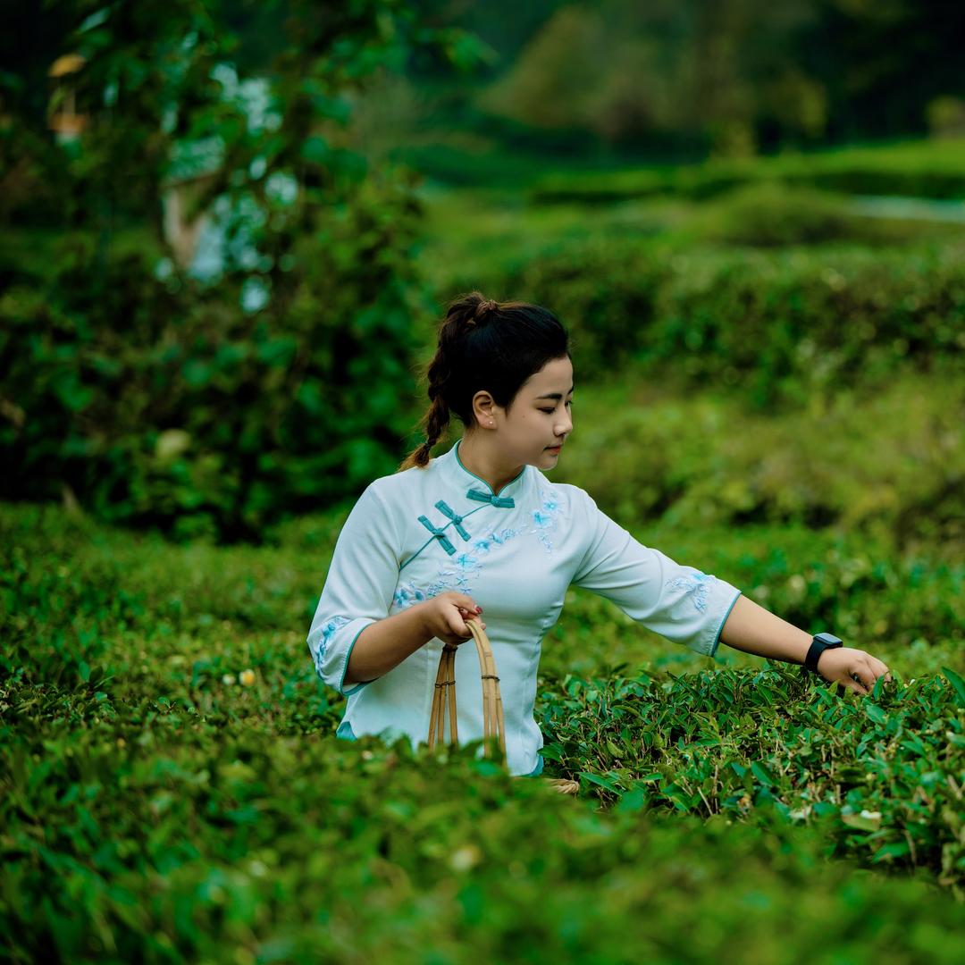 李晓晓