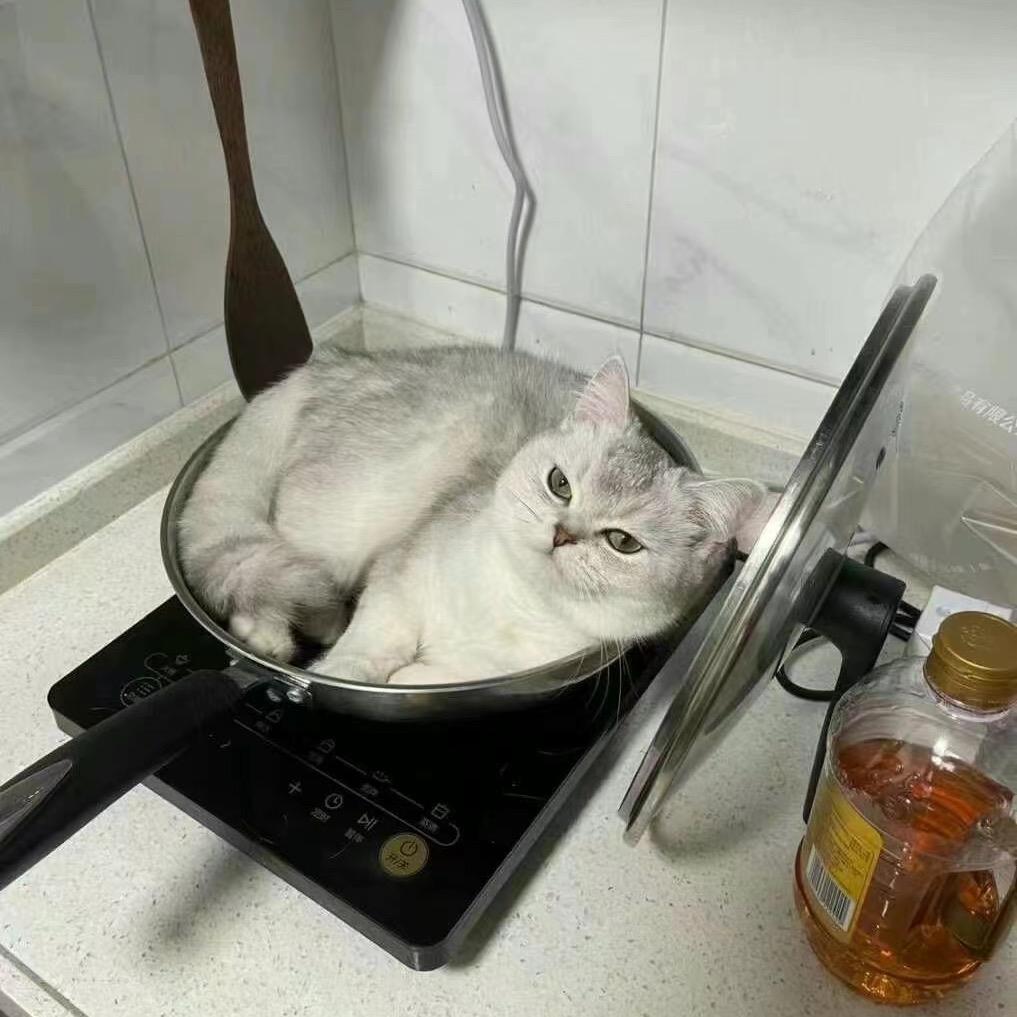 小依悦选