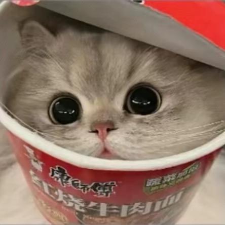 香菜.