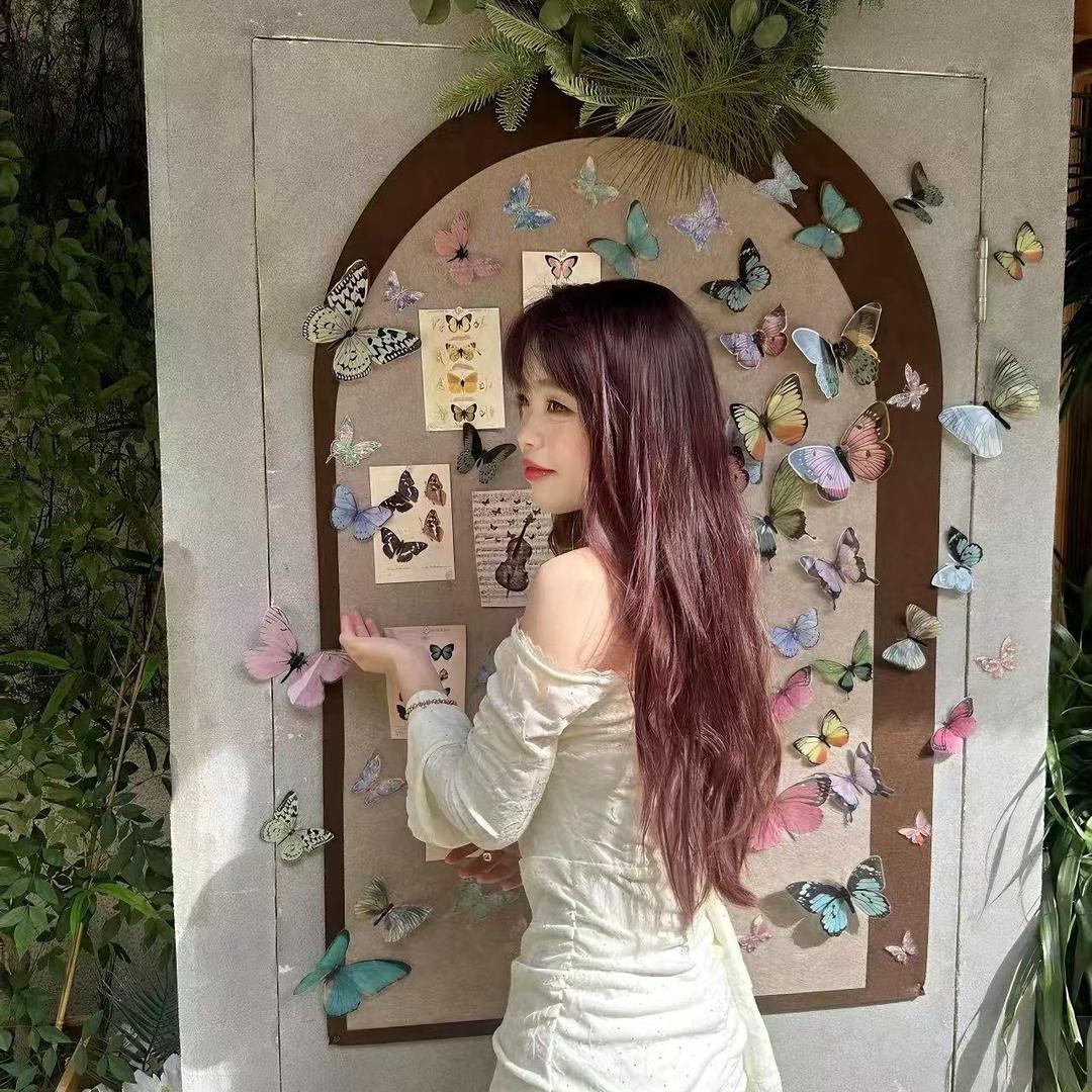 我在人间捡音乐（互关）