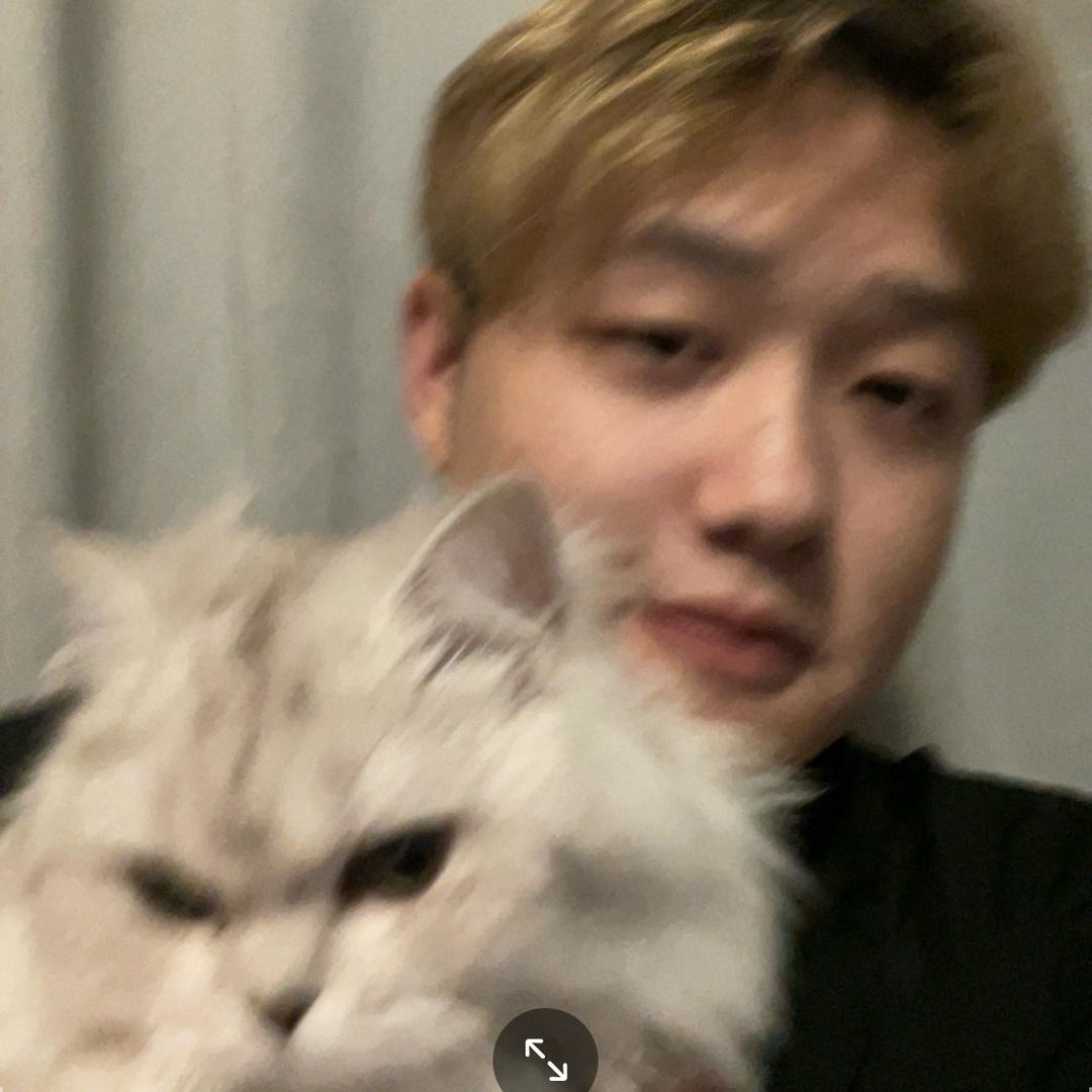 汪汪队不说话🙊
