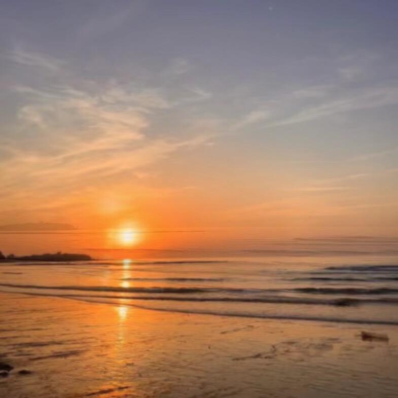 妮可服饰供应链