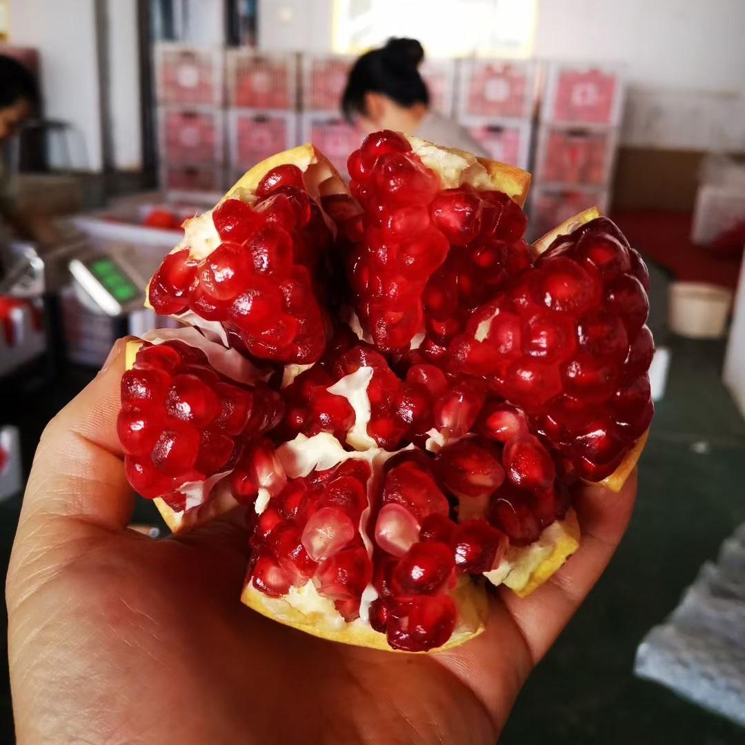 小徐的水果日记