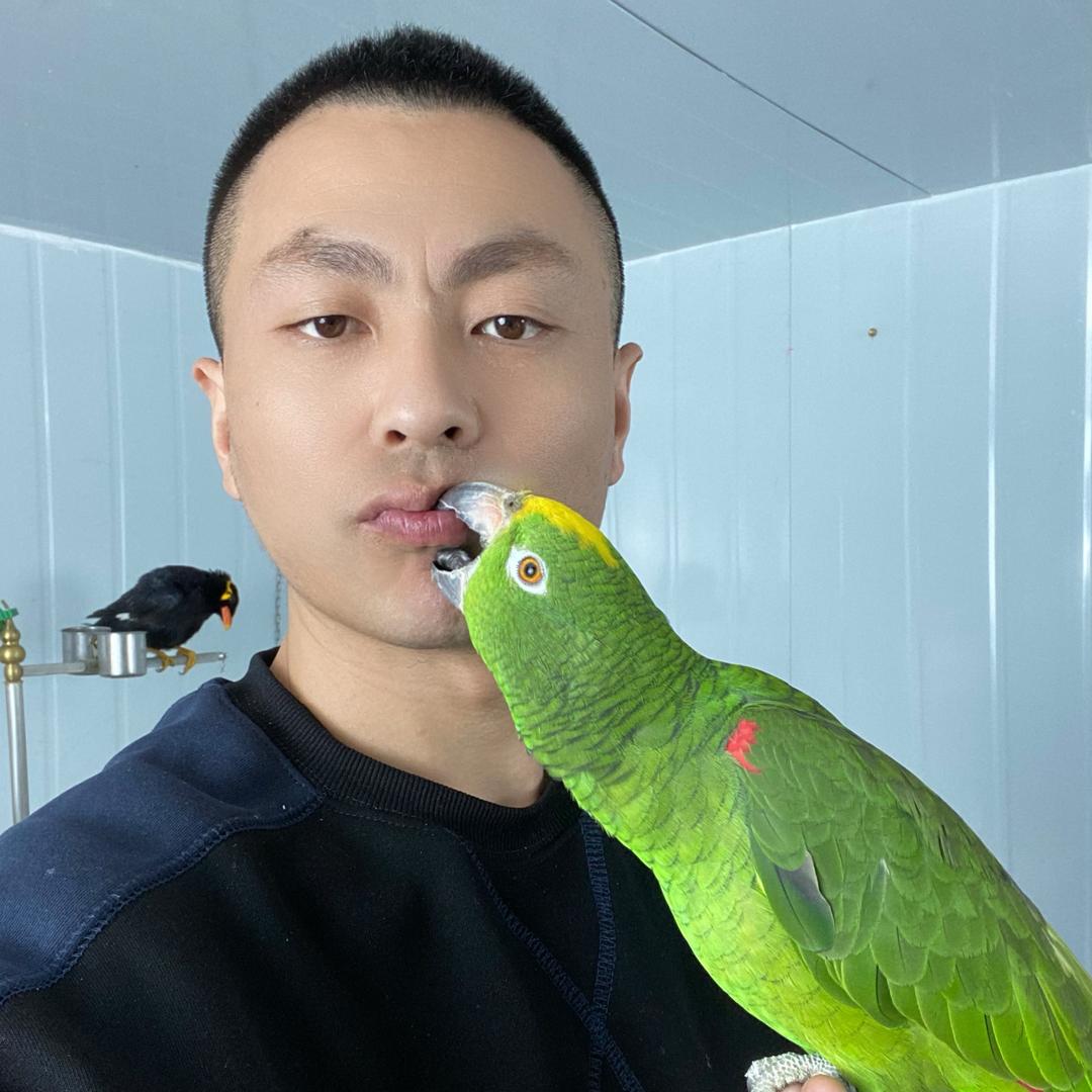 二磊玩鸟