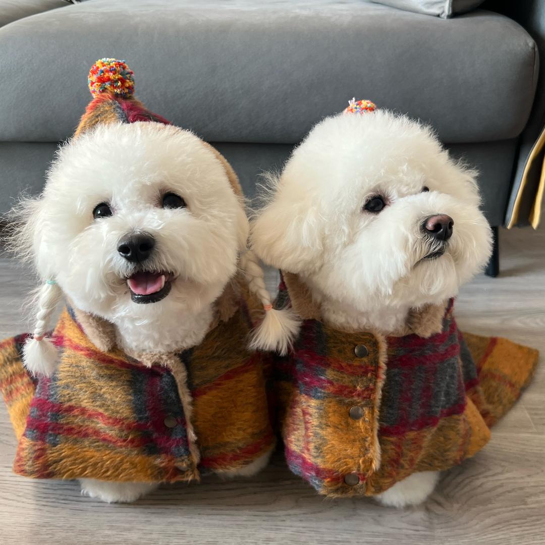 Piqi