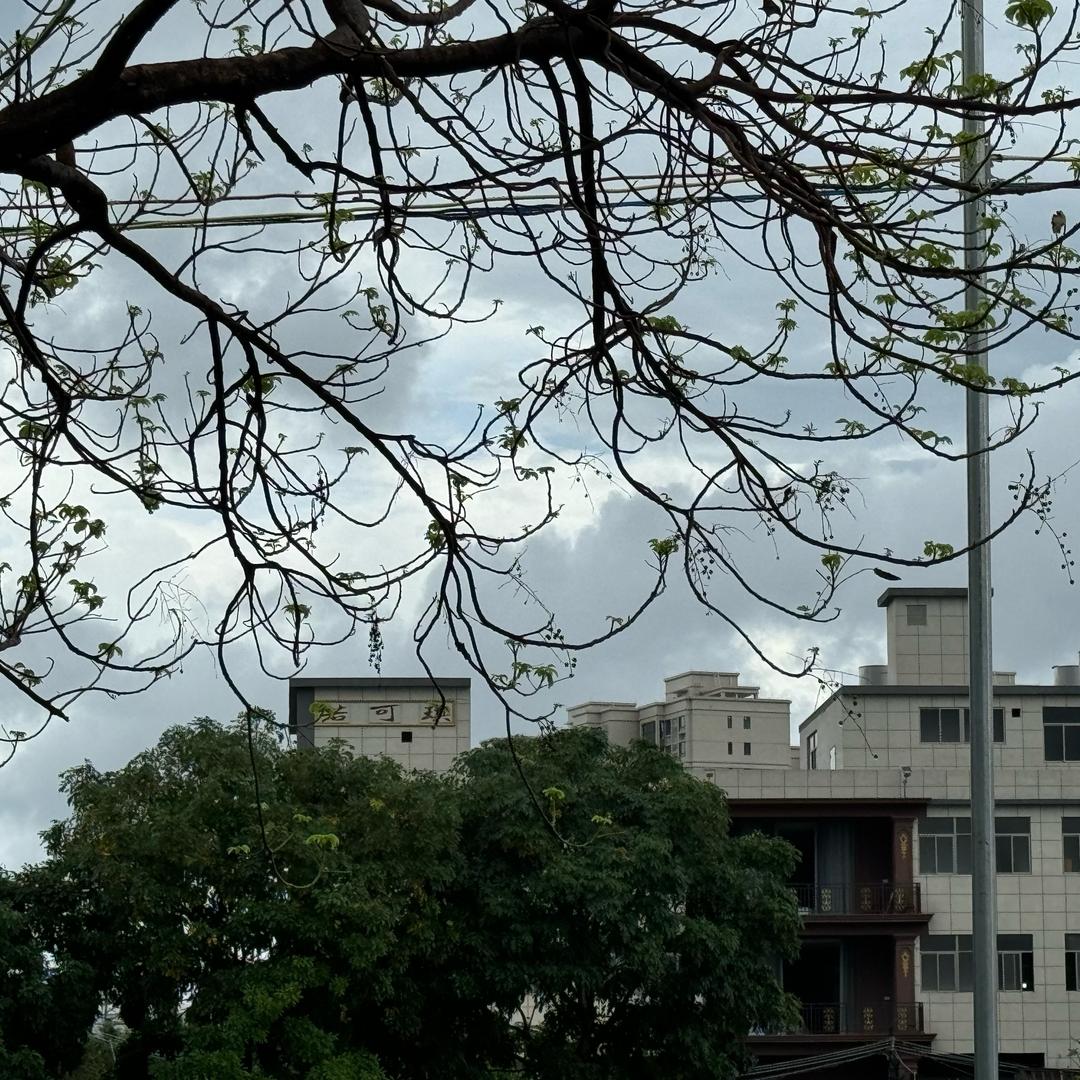 若可琪•快递包装耗材