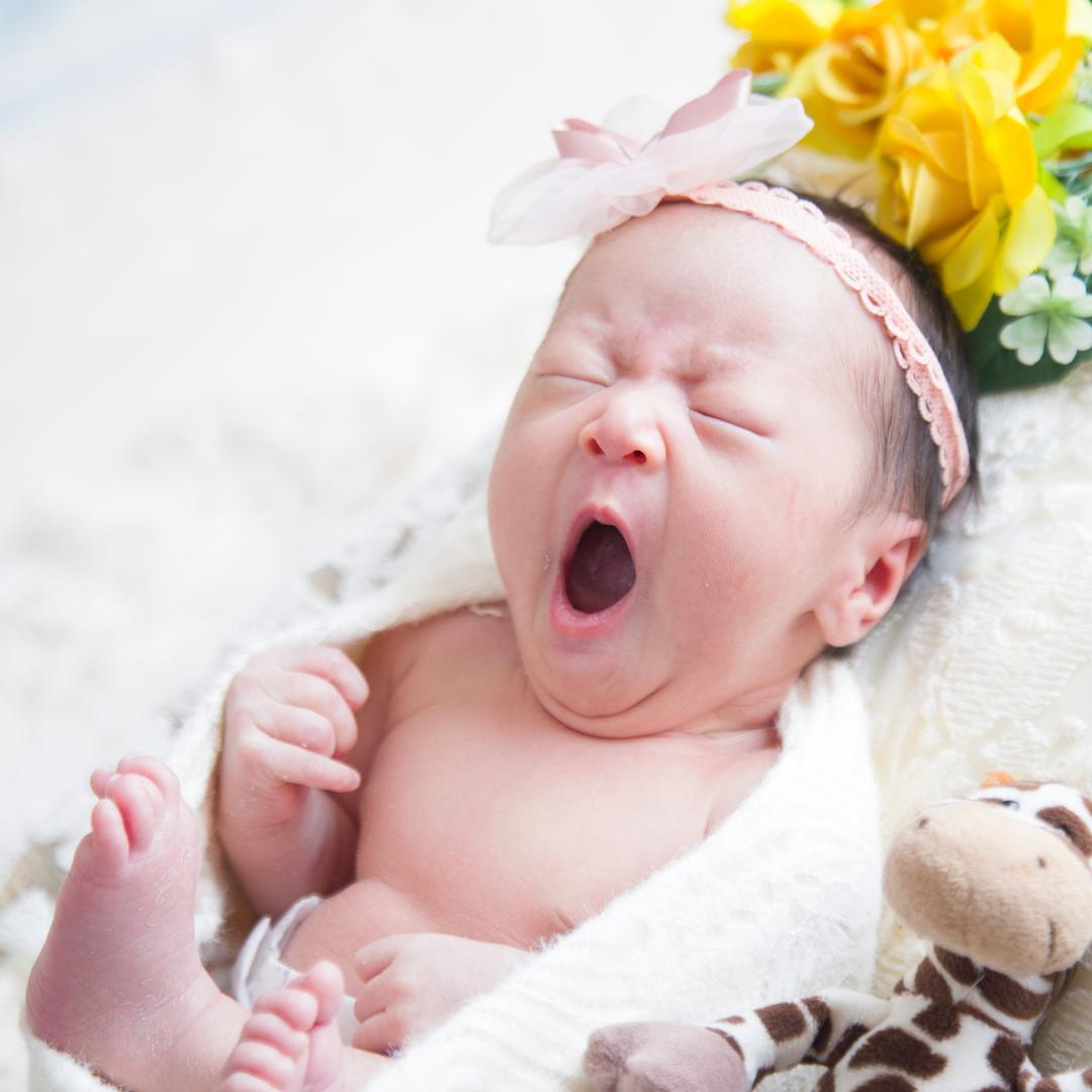 奶瓶🍼小淘气（带娃中）