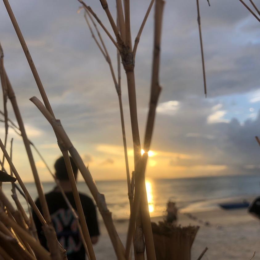 BoYu博浴