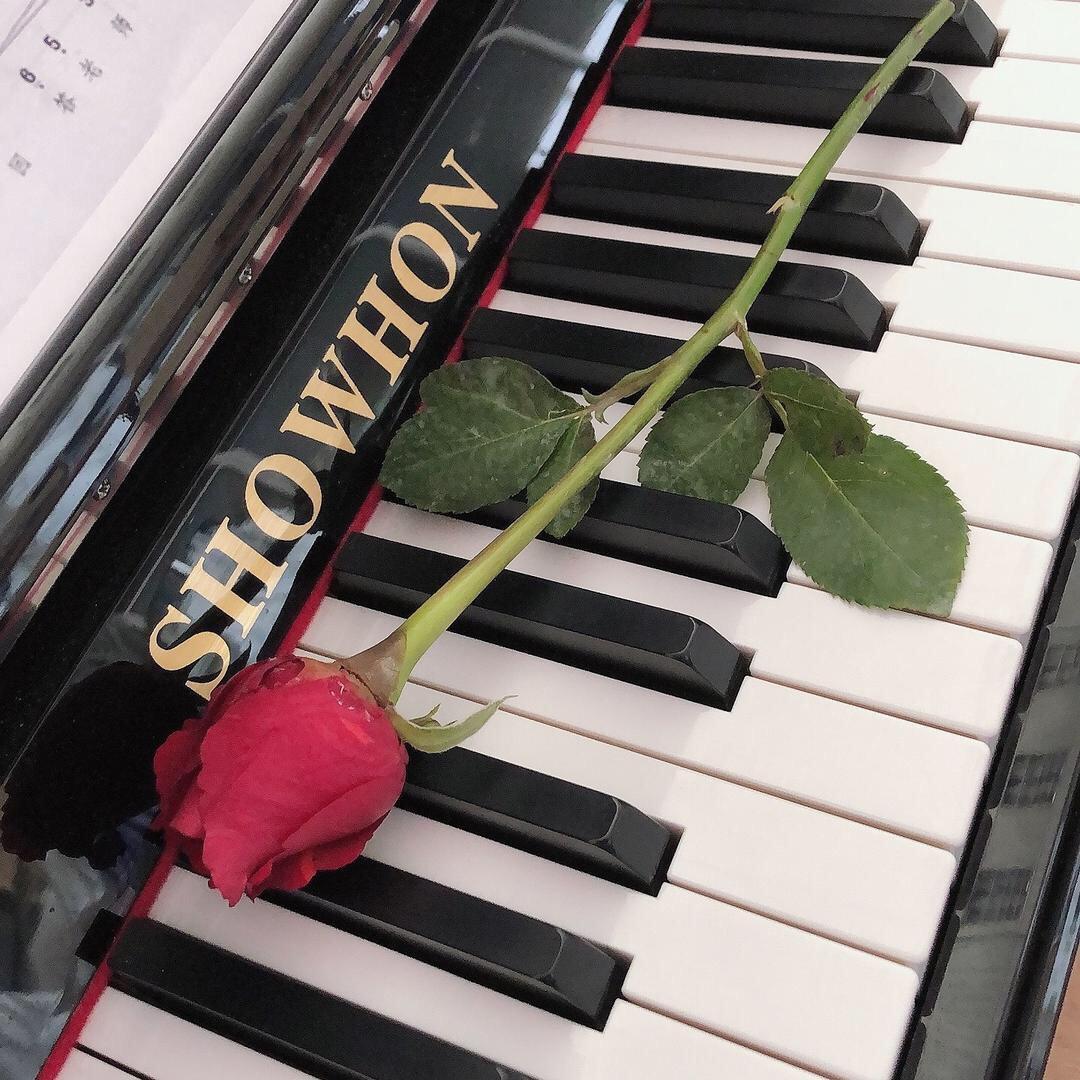 爱音乐🎀🎹🍬