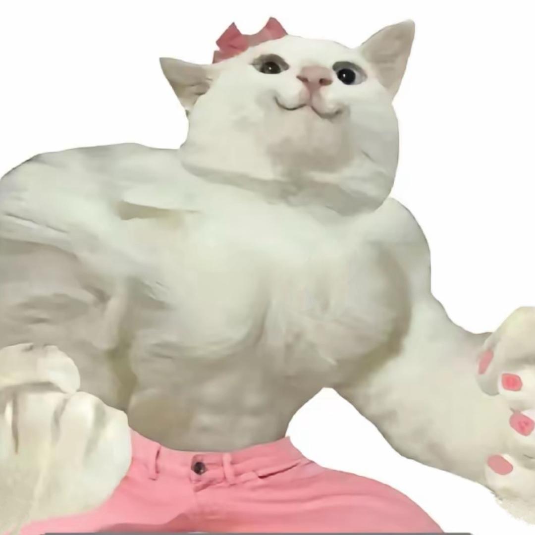 雪花啤酒՞•･•՞