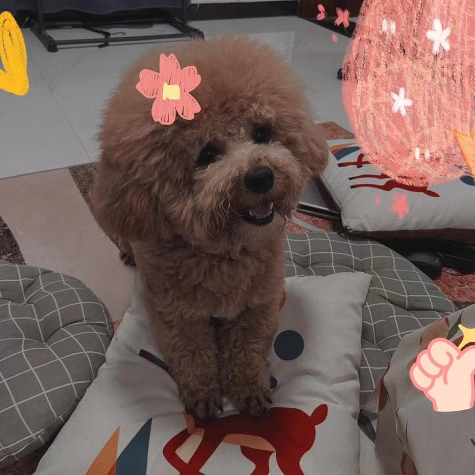 慕棉说