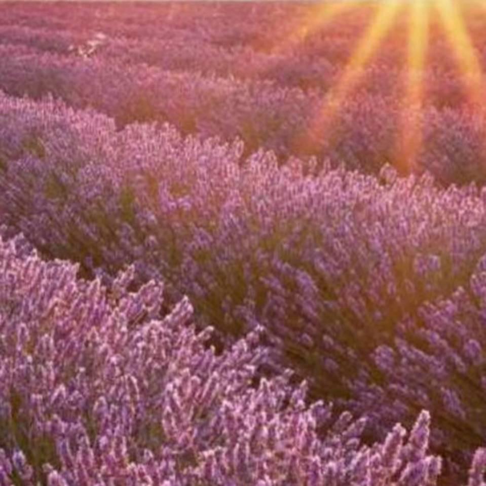 80后老阿姨🧍‍♀️