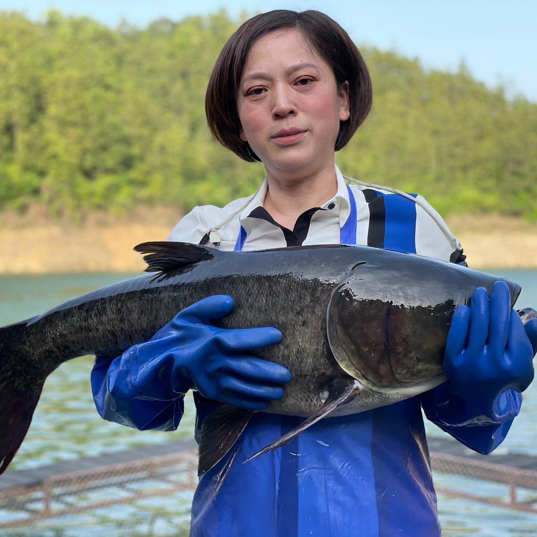 千岛湖特产店方姐生鲜活鱼
