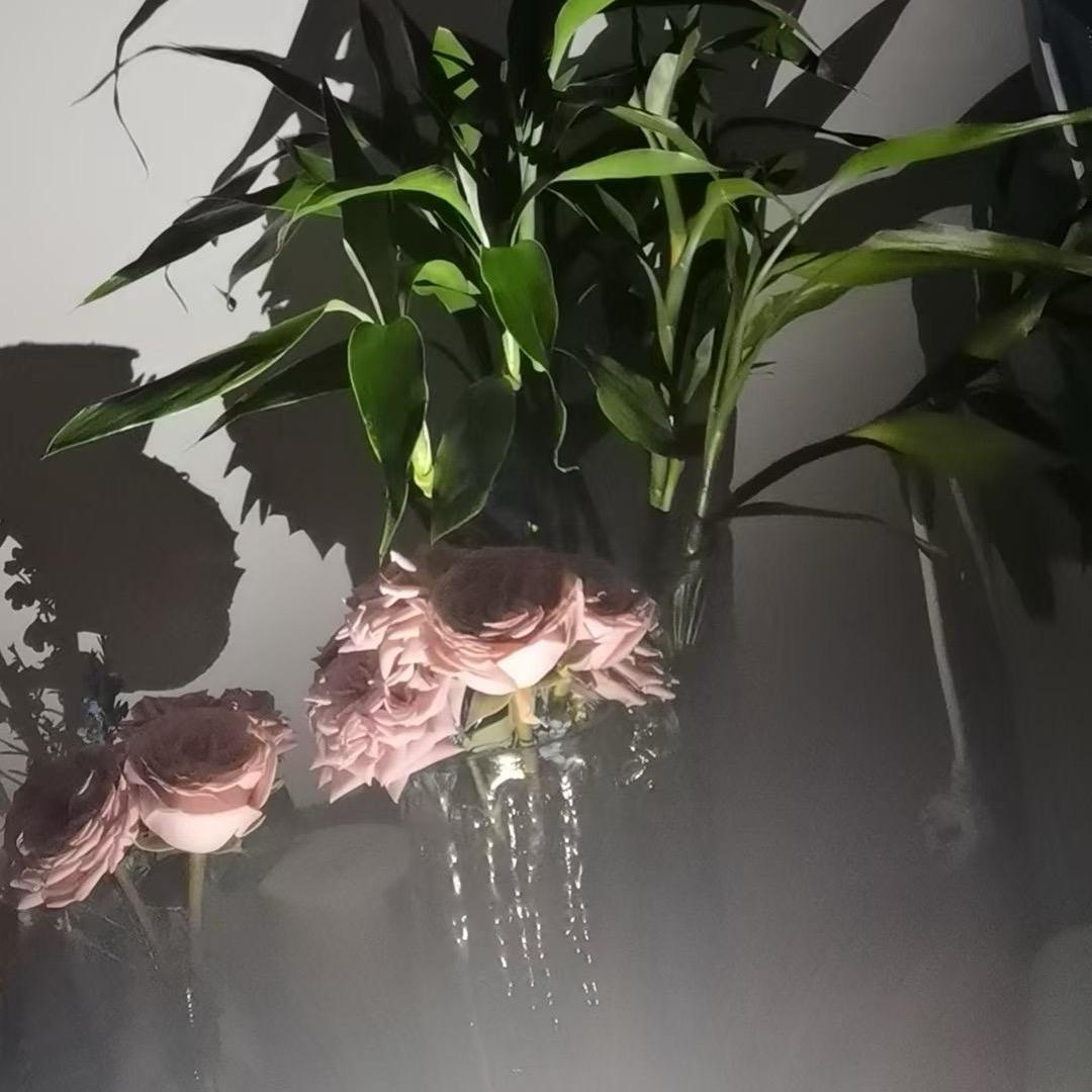 ℳ๓᭄贩卖温柔ꦿ